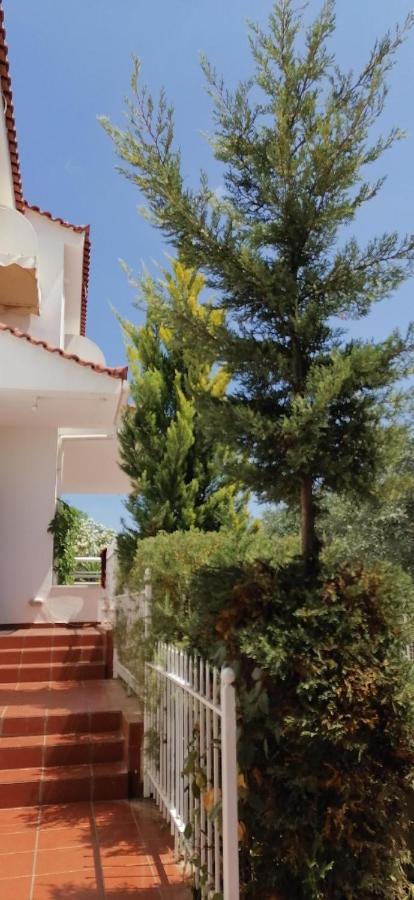 Ευχάριστη Βίλα Στη Χαλκίδα Στην Περιοχή "Αλυκές" 外观 照片